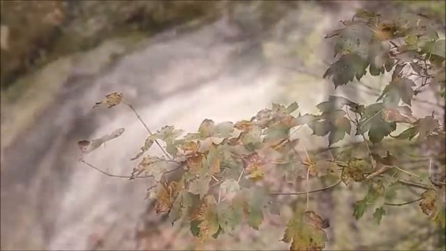 Осенняя природа. Звуки природы. Шум реки. Звуки природы для сна