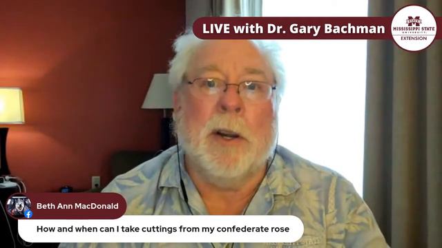 Ask Me Anything with Dr. Gary Bachman (April 2021) смотреть онлайн