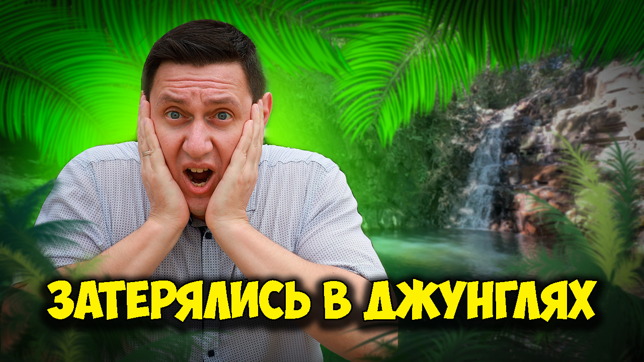 Записки из джунглей Бразилии - покрасили яйца