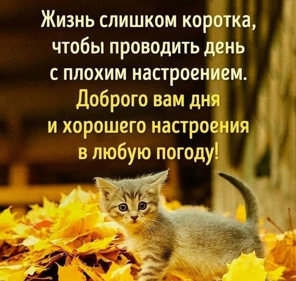 Настроение великолепное