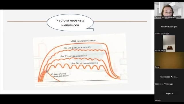 Физиологические механизмы формирования физических качеств и двигательных навыков