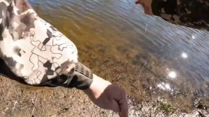 РЫБАЛКА НА ДОНКИ НА ЦНЕ