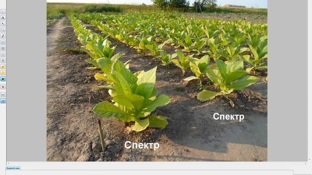 Легко и быстро добавляем надписи и водяные знаки с помощью бесплатной программы FastStone Image Vie смотреть онлайн