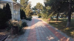 Донская Волна Волгодонск