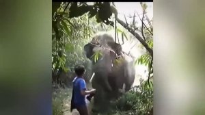 ? Coldest Moments Tiktok Compilation ? Sigma Tiktoks ?