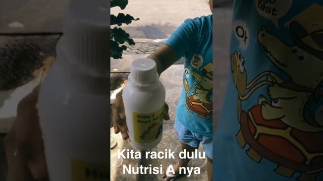 Hidroponik for kids