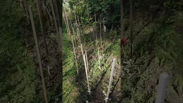 дача#отпуск смотреть онлайн