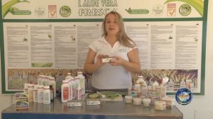 Aloe vera fresca. Лилия пустыни. Сувенир с Канарских островов.