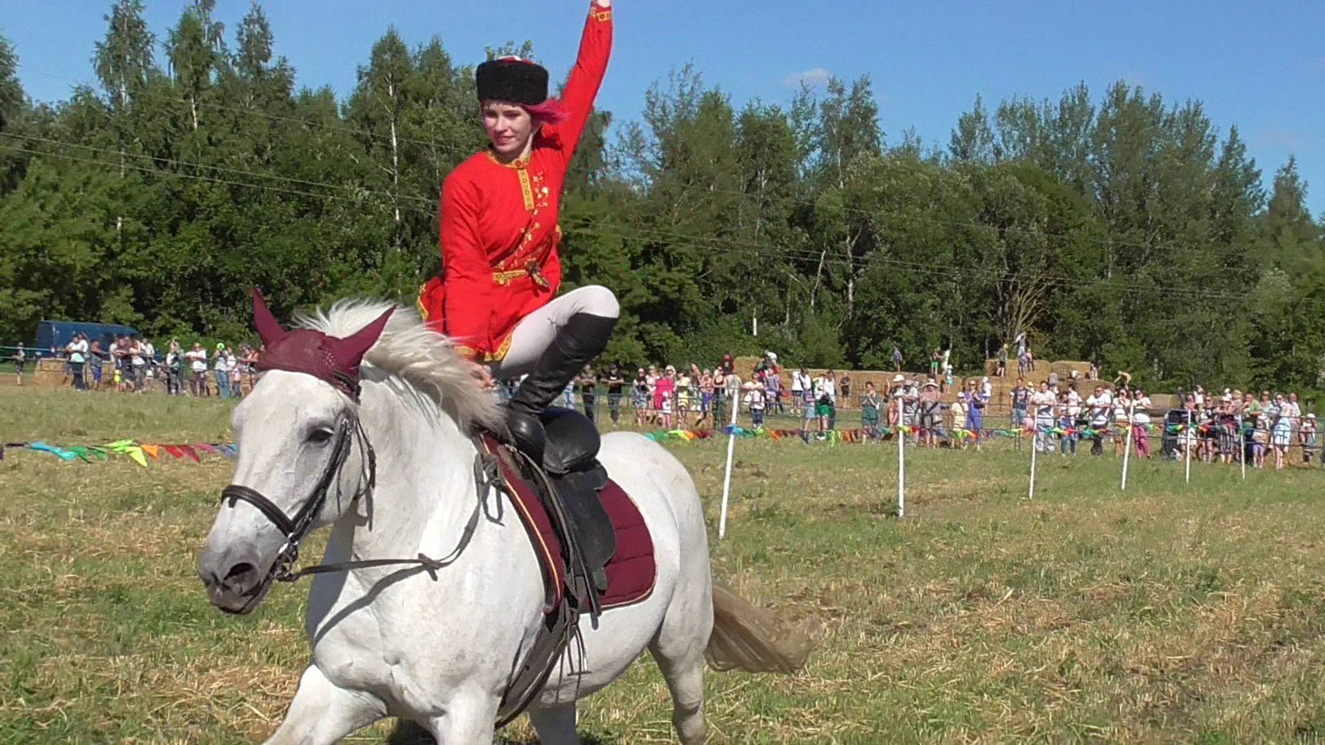 Наездница скачет на белом коне