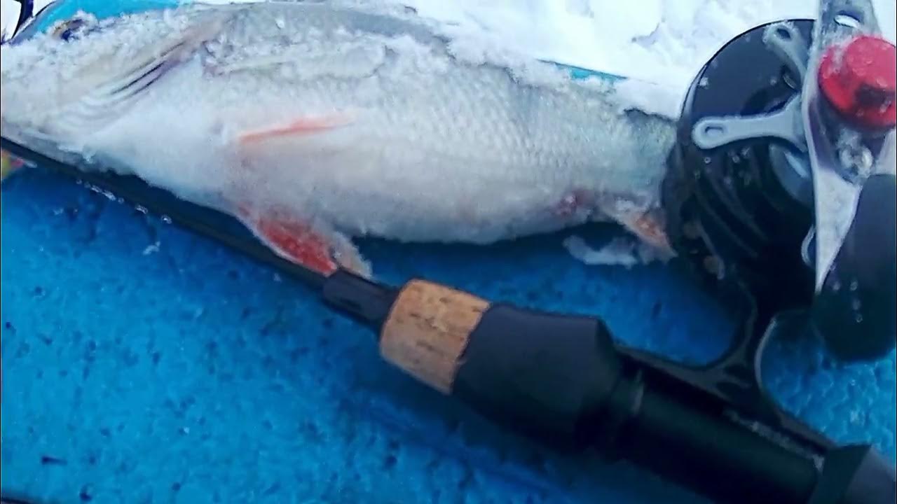 НАПОРОЛИ ОКУНЯ!!! Вывез сына с другом на рыбалку смотреть онлайн