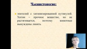 Покровы у животных