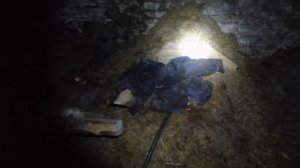 Завозим сено на карду к лошадям// перемерзло вода в конном