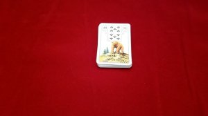 Kарты Ленорман:" Медведь"- значение и сочетание с другими картами