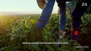 ЧТО В СОСТАВЕ NUTRILITE? / Органическая ферма Нутрилайт / Прослеживаемость ингредиентов витаминов