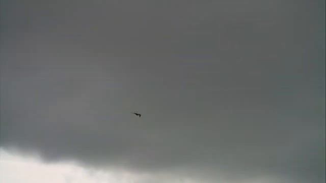 Matty Dorgan Freestlye 18.7.10 смотреть онлайн