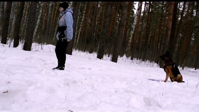 Домик