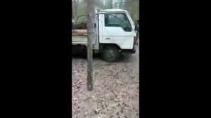 В Бурятии лесничий застал «чёрных» лесорубов врасплох