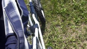 Inglesina Magnum