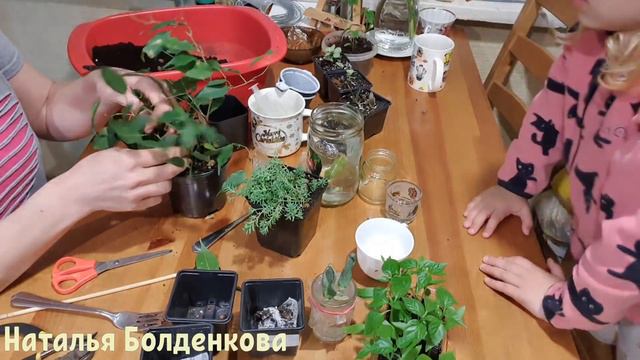 Борьба за сено//Кругом обман❗//Вечеряем с внучкой смотреть онлайн