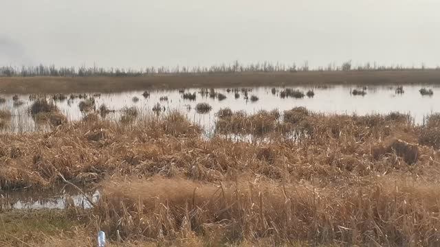 Омская область. Рыбалка. Озеро? Лебяжье и котлован Горбунова. смотреть онлайн