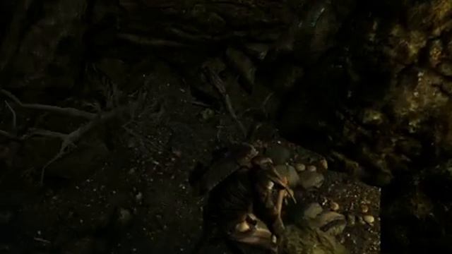 15 11 сбор грибов смотреть онлайн