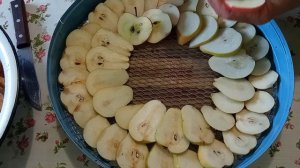 Как сделать цукаты из груши. Урожай помидор