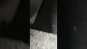 Mercedes v class w447 pollen filter change