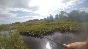 Рыбалка Терский берег - Чапома
