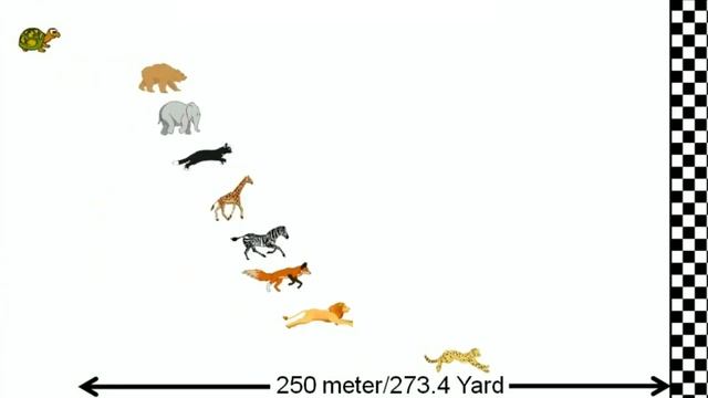Speed Comparison : Race Simulation - Animal Race