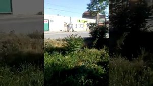 Канализация Берислава или то в чем мы купаемся наш Днепр