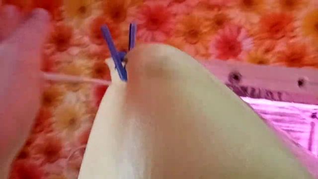 Теплица с фитолампами. смотреть онлайн