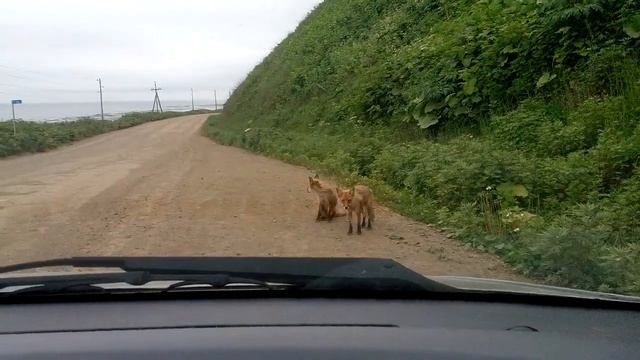 Невельск 2017 смотреть онлайн