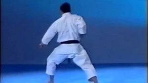 МЕЙКЬО КАТА. ОБУЧАЮЩИЕ ВИДЕО