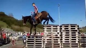 На что способен мул