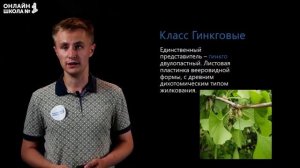 Голосеменные растения. Видеоурок 32. Биология 5 класс