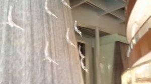 Дубай Молл, водопад "Ловцы жемчуга". The Dubai Mall