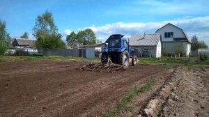 Трактор Беларус МТЗ-80  культивация. BELARUS MTZ-80