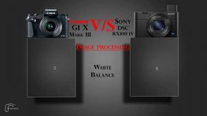 Canon G1 X Mark III vs Sony DSC RX100 IV