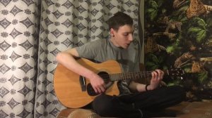 Noize MC - Грабли(acoustic guitar cover by Дмитрий Ерушов)