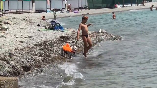 Бухта Инал.Пляж.Черное море.Цены.Отдых на Черном море.Июнь.