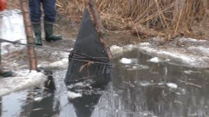 Нашли ТАНК! Танк погибший в бою! Часть 2. В поисках сокровищ / In search of treasures