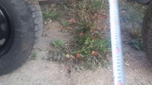 Обзор прицепа для пчёл