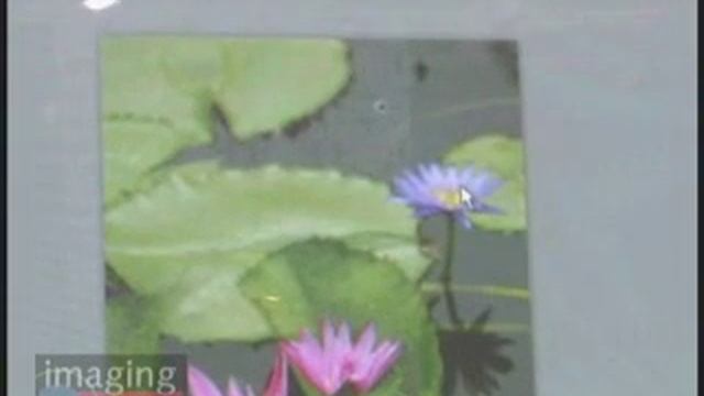 Imaging Resource PMA 2008 - Nik Software Viveza смотреть онлайн