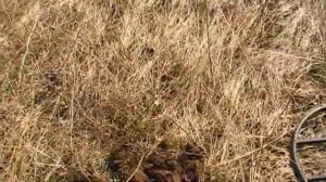 ПОИСК #14 УДАЧНЫЙ