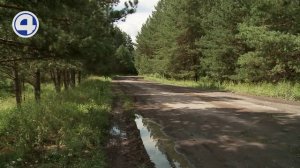 Жители деревни Молоково под Ирбитом вынуждены ходить и ездить по разбитой дороге