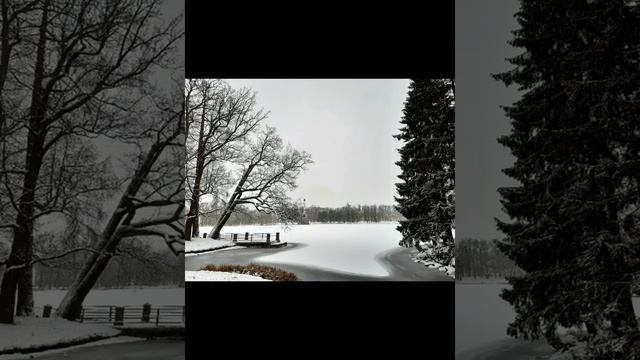 ЦарскоеСело. Екатерининский парк. #санктпетербург #фотопрогулка