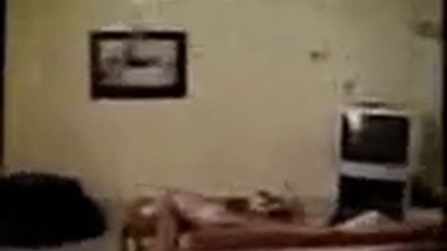 кот вертолёт смотреть онлайн