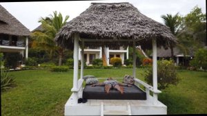Отель Filao Beach Zanzibar. Танзания - Занзибар