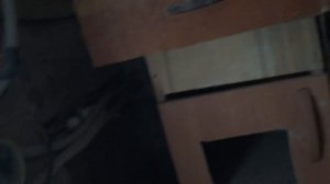 КАК СОХРАНИТЬ ПТЕНЦОВ ДОМАШНИХ ГОЛУБЕЙ