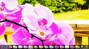 Windows 8 App Review - Adobe Photoshop Express